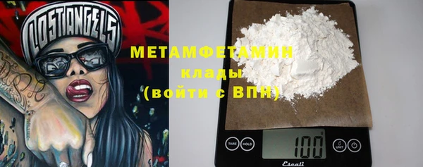 прущие грибы Белокуриха