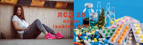 прущие грибы Белокуриха