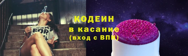 прущие грибы Белокуриха
