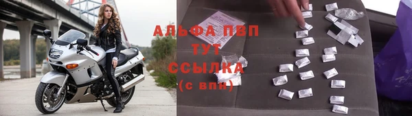 прущие грибы Белокуриха