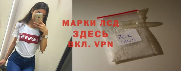 прущие грибы Белокуриха