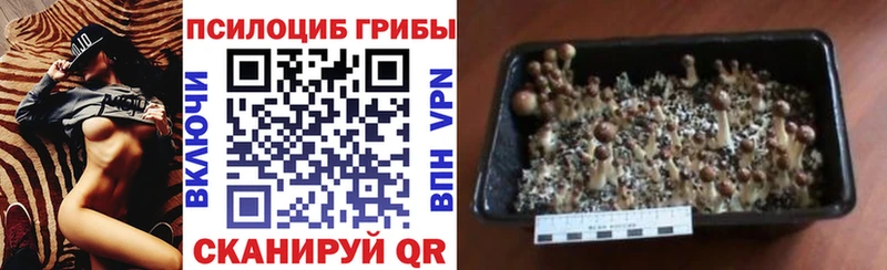 Галлюциногенные грибы MAGIC MUSHROOMS Электроугли